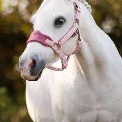 LeMieux Mini Vogue Headcollar Pink Quartz