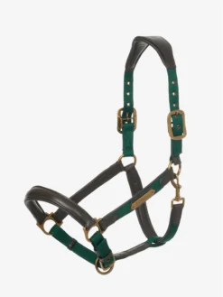 LeMieux Capella Headcollar Spruce