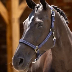 LeMieux Neoprene Yard Headcollar Navy