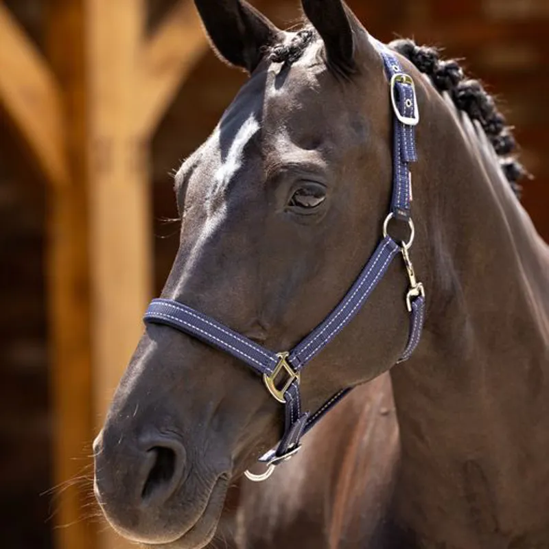 LeMieux Neoprene Yard Headcollar Navy