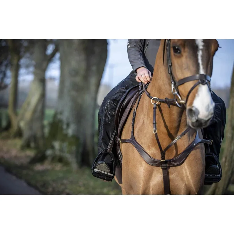 LeMieux DryTex Stormwear Waterproof Chaps Black - Image 4
