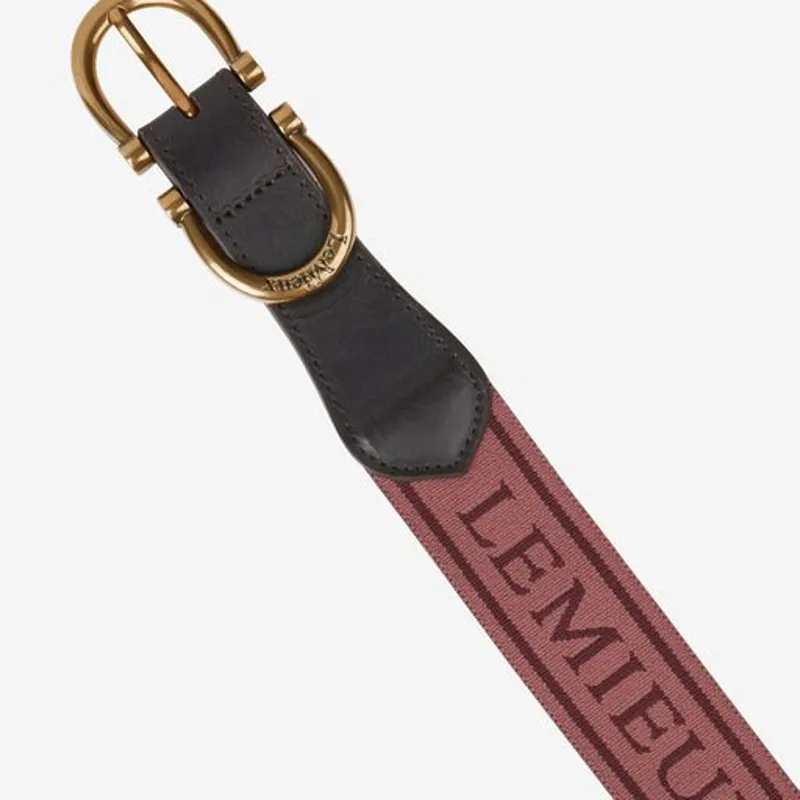 LeMieux Young Rider Elasticated Belt - Orchid - Image 2