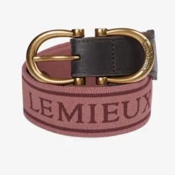 LeMieux Young Rider Elasticated Belt - Orchid