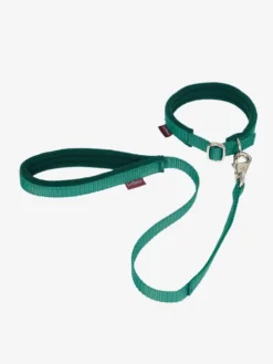 LeMieux Toy Puppy Collar And Lead Evergreen