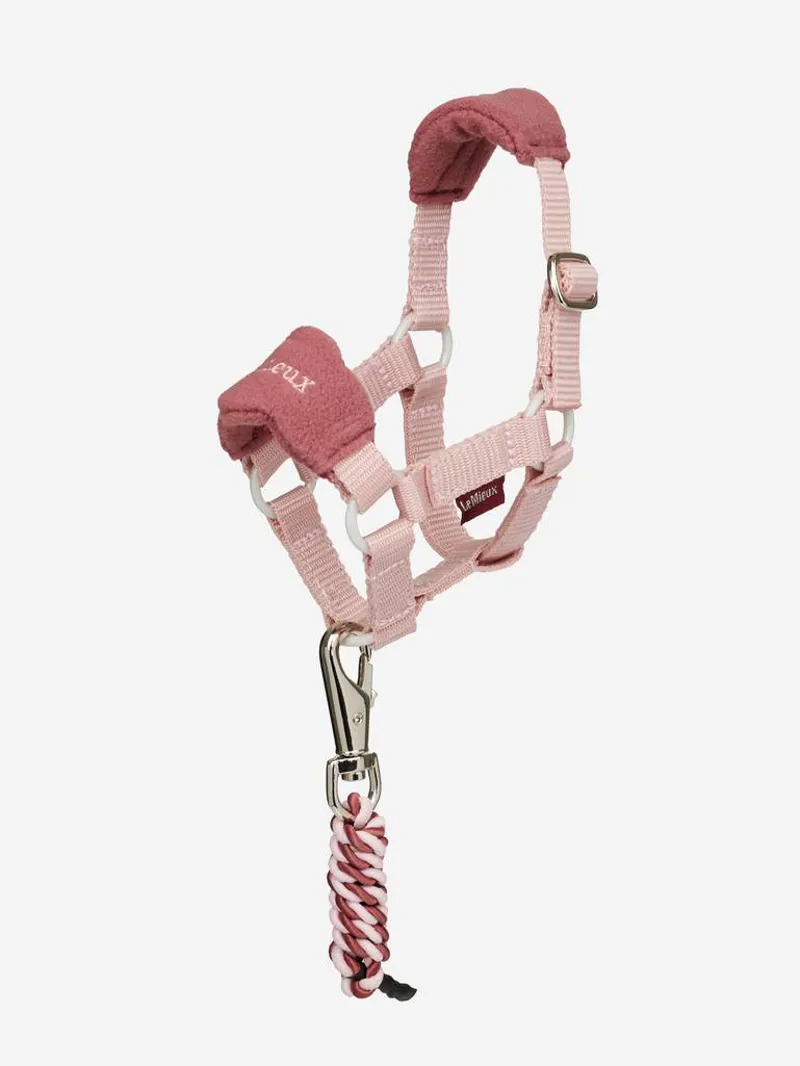 LeMieux Toy Pony Vogue Headcollar - Pink Quartz