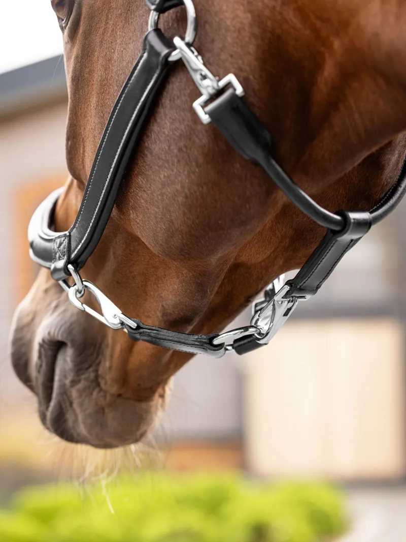 LeMieux Leather Grooming Headcollar Black - Image 2